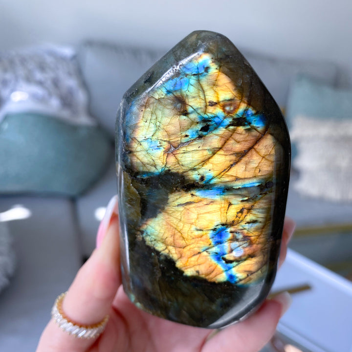 Flashy Golden Labradorite Free Form #5