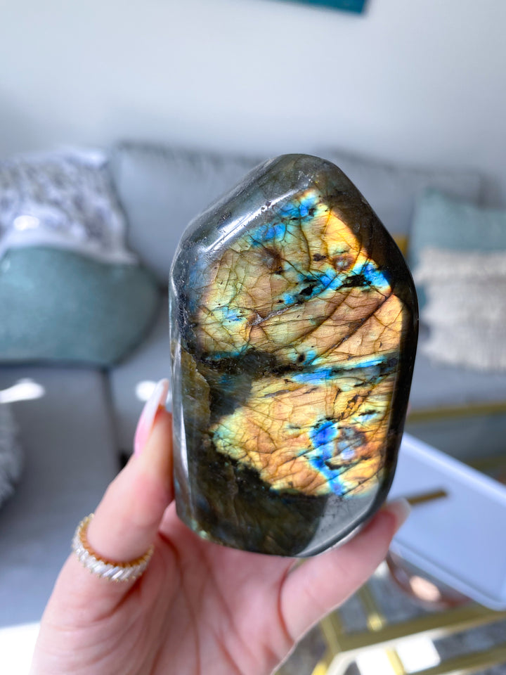 Flashy Golden Labradorite Free Form #5