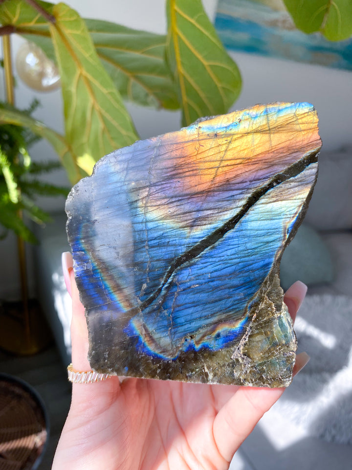 Labradorite Free Form #3