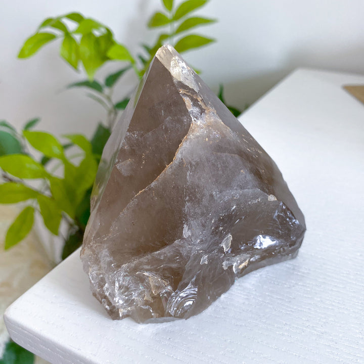 1.2lb Inclusion Smokey Quartz Point #4 - Get Exact Piece