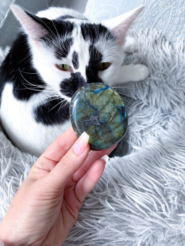 Labradorite Palm Stone #3