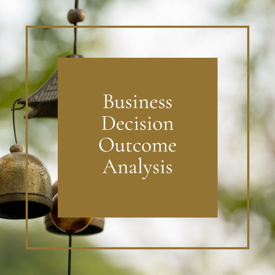 Business Decision Outcome Analysis