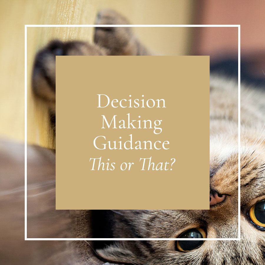 Decision Making Guidance – This or That?