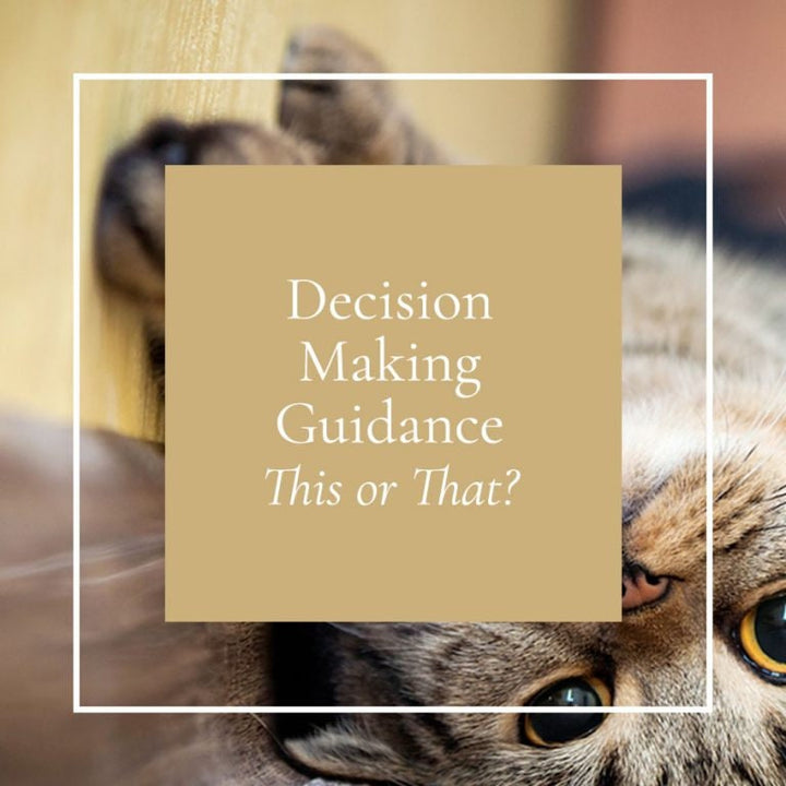Decision Guidance Tarot Reading This or That - Help me Choose - How to choose - Can't Decide