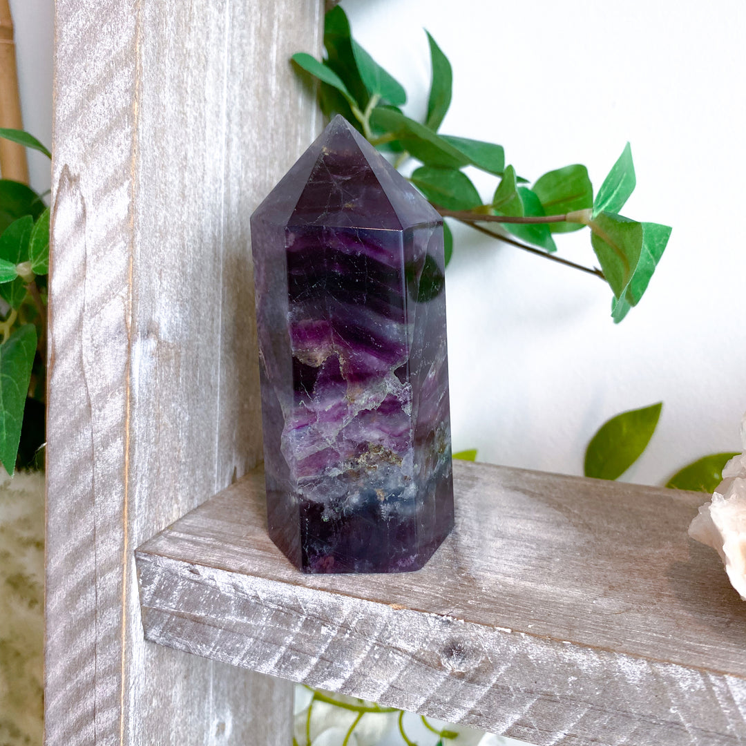 Purple crystal on a wooden shelf with greenery in the background