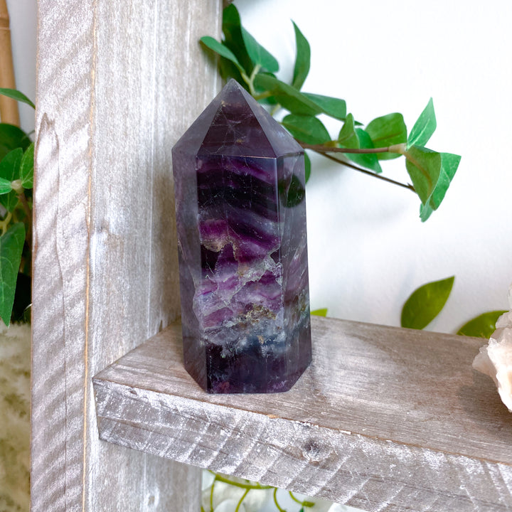 Purple crystal on a wooden shelf with greenery in the background