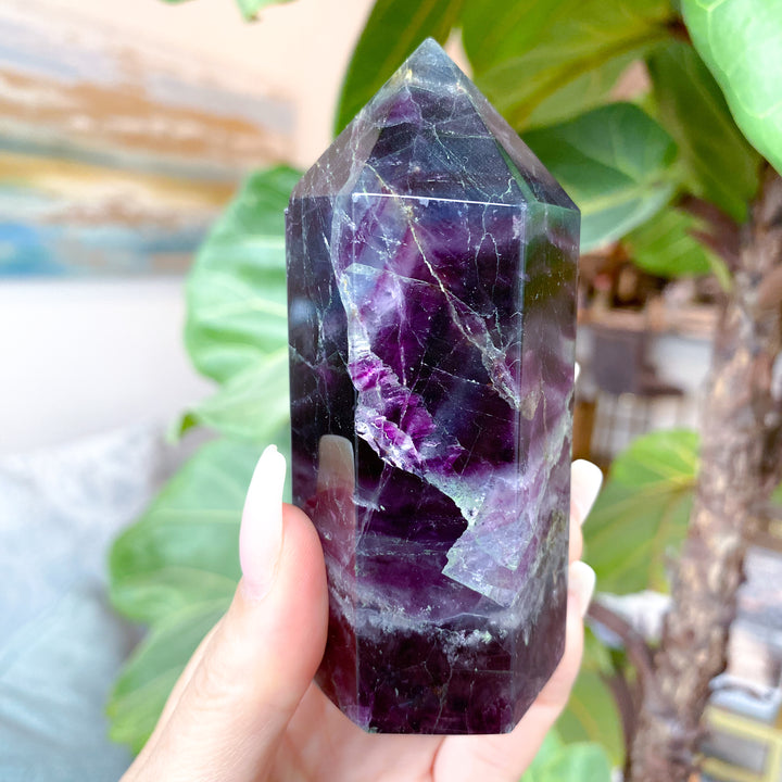 Amethyst crystal held in a hand with a blurred green plant background