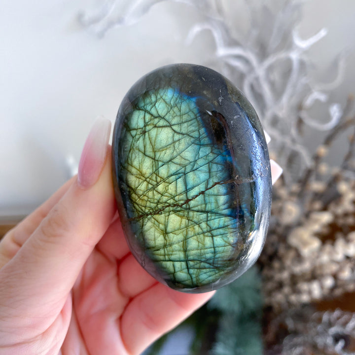 Labradorite stone held in a hand with a blurred natural background