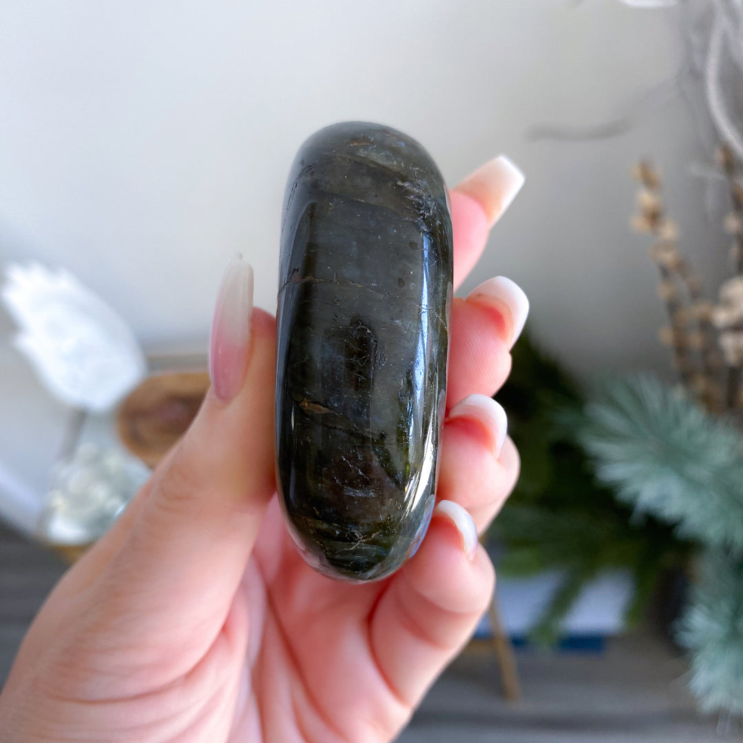 Hand holding a dark stone with a blurred indoor background