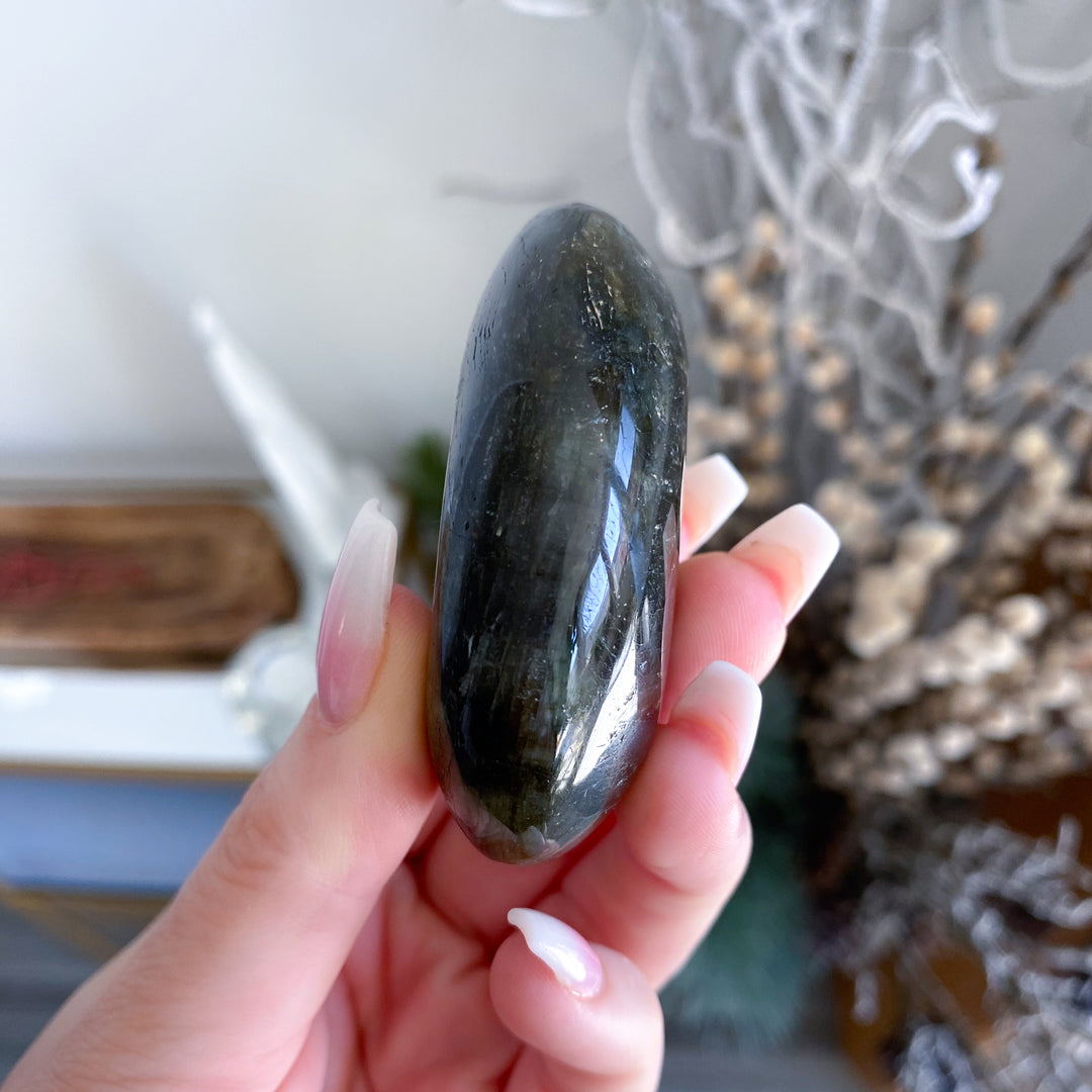 Hand holding a dark stone with a blurred indoor background