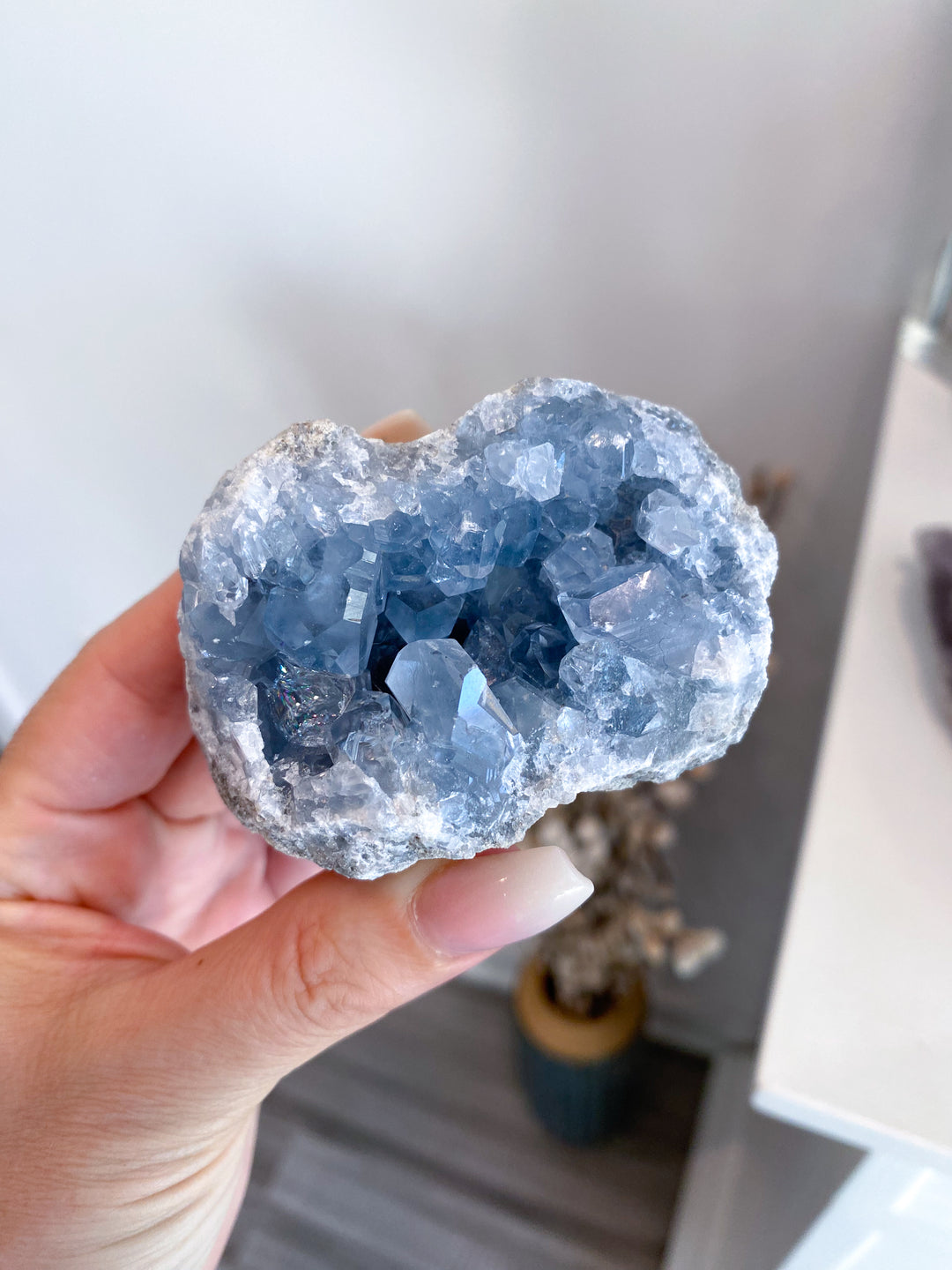 Beautiful Celestite Geode #21