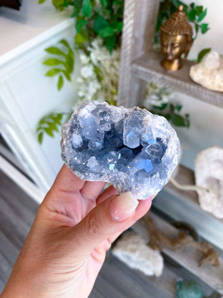 Beautiful Celestite Geode #21