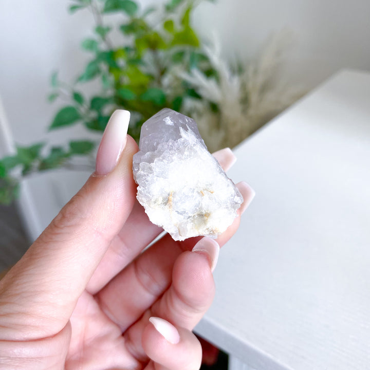 White Spirit Quartz Cluster 