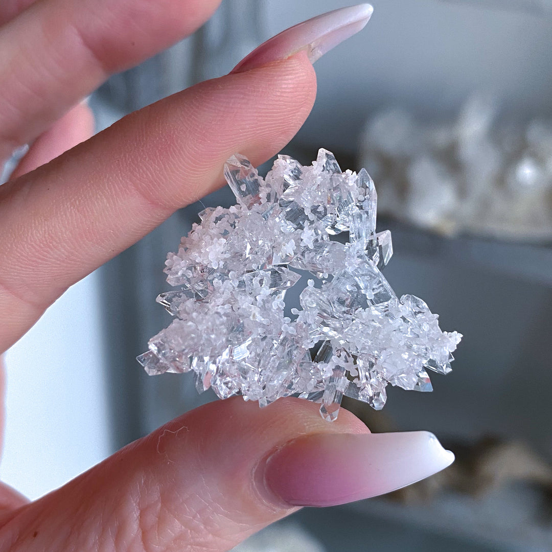 Tiny Pale Pink Apophyllite Cluster #1