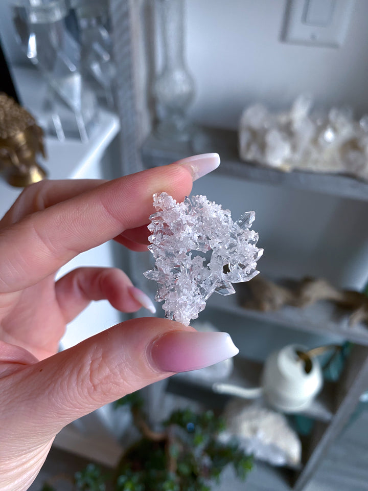 Tiny Pale Pink Apophyllite Cluster #1