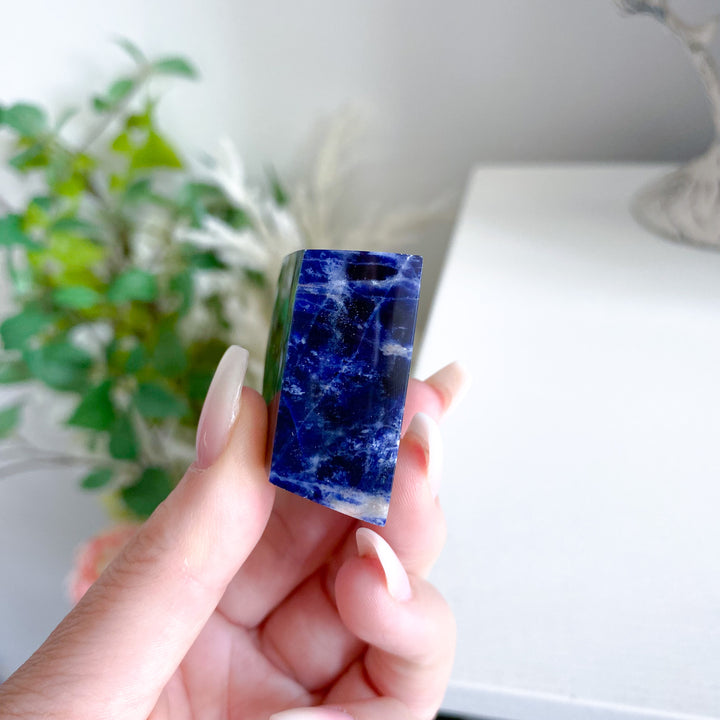 Shiny Sodalite Freeform 