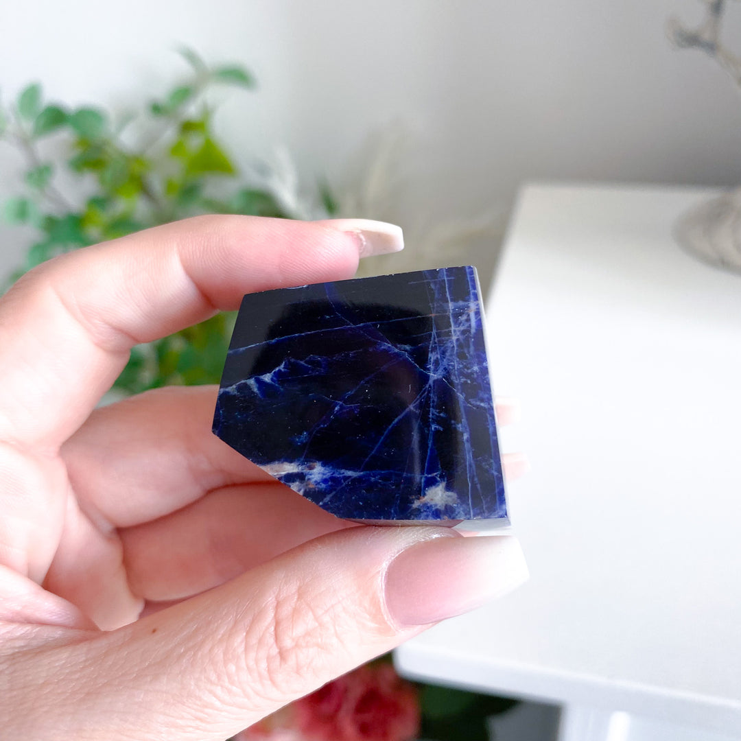 Shiny Sodalite Freeform 