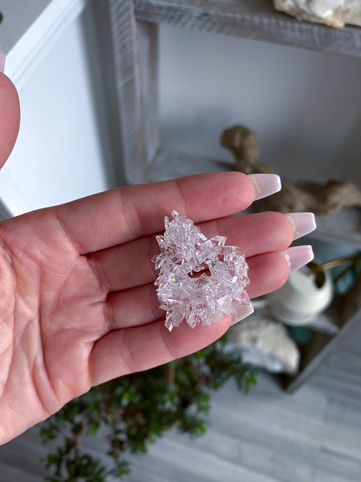 Tiny Pale Pink Apophyllite Cluster #1