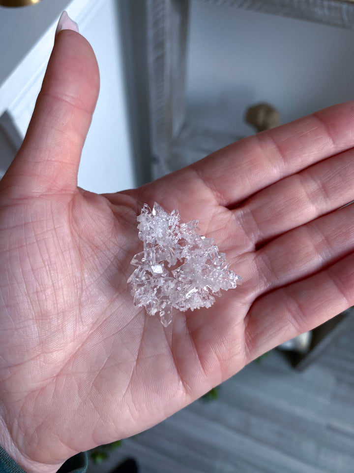 Tiny Pale Pink Apophyllite Cluster #1