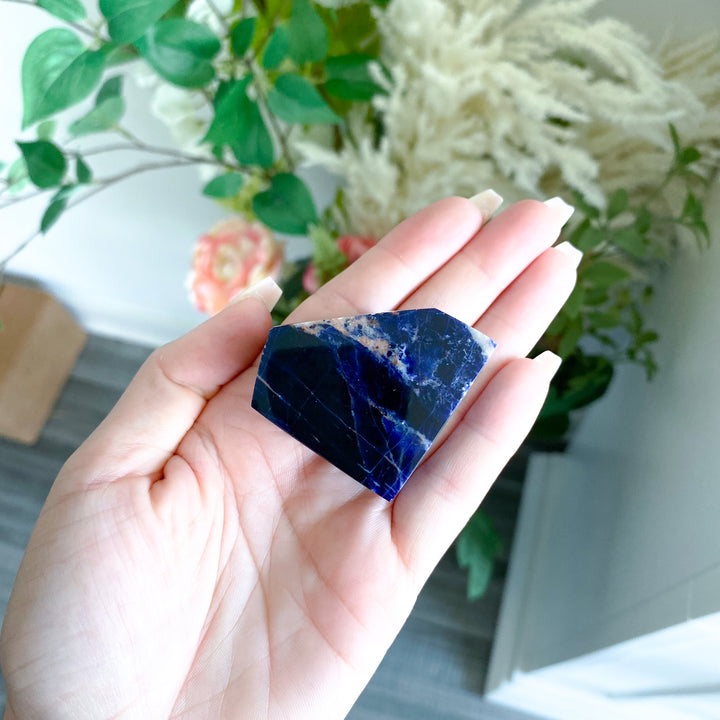 Shiny Sodalite Freeform 