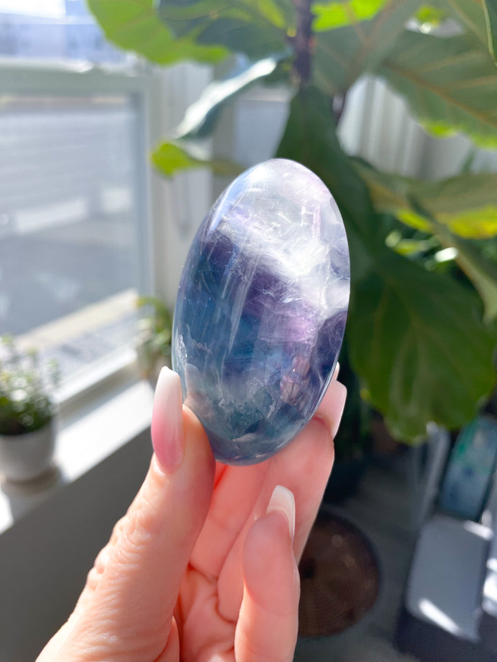 Rainbow Fluorite Palm #7