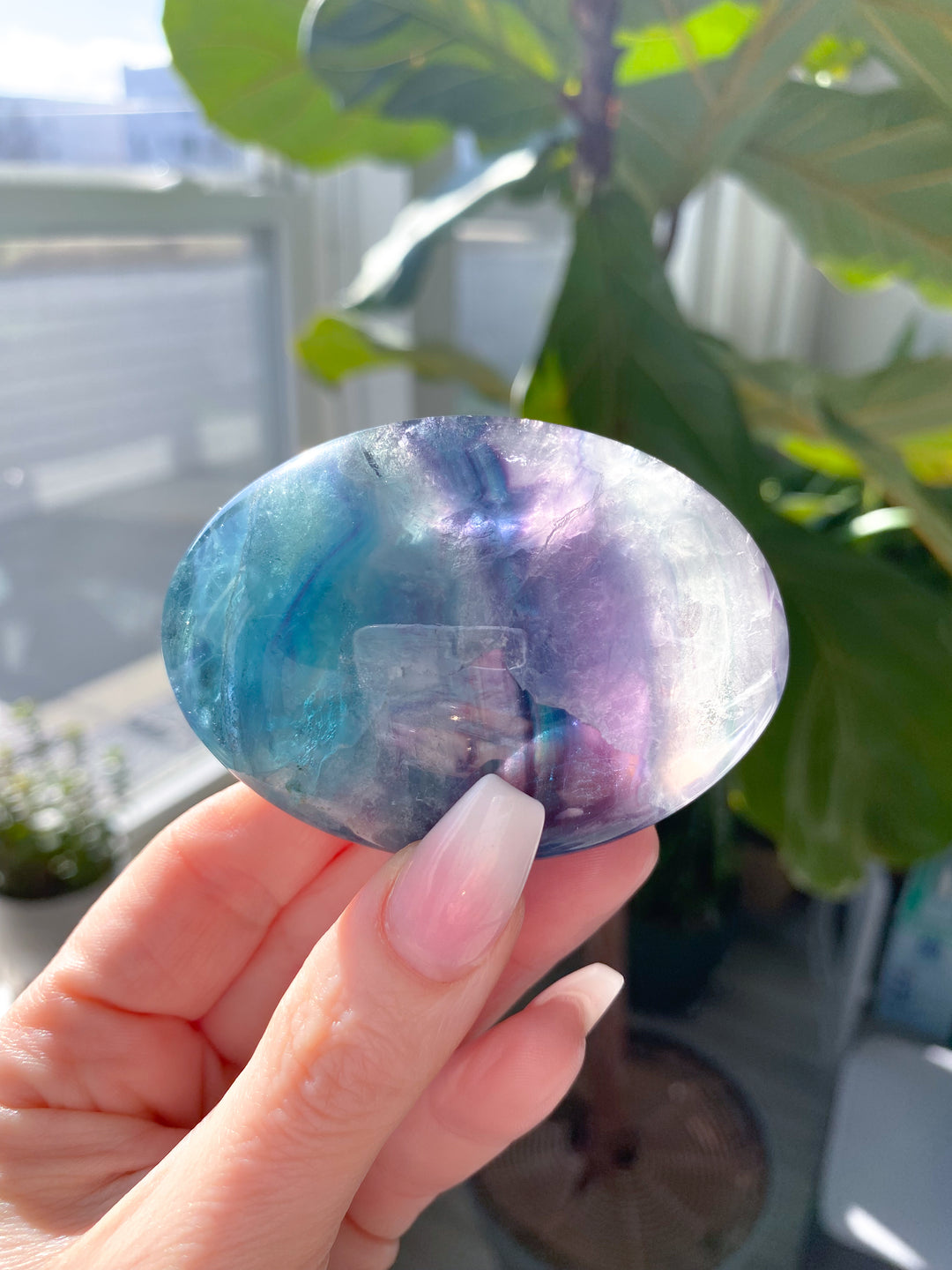 Rainbow Fluorite Palm #7