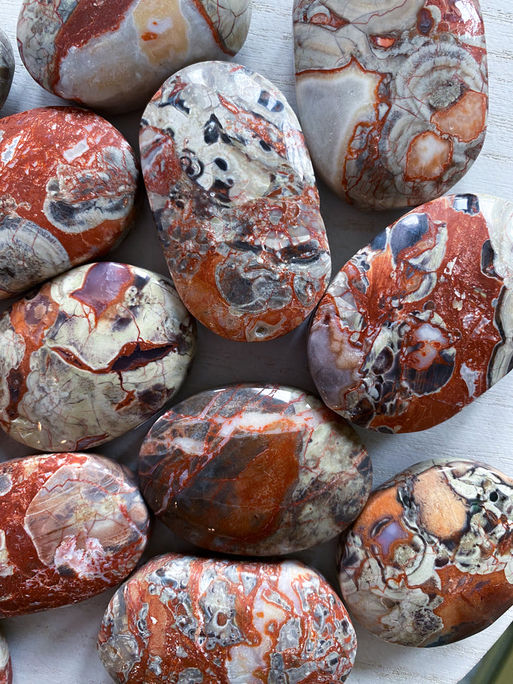 Money Agate Indonesian Bloodstone Palm Stone