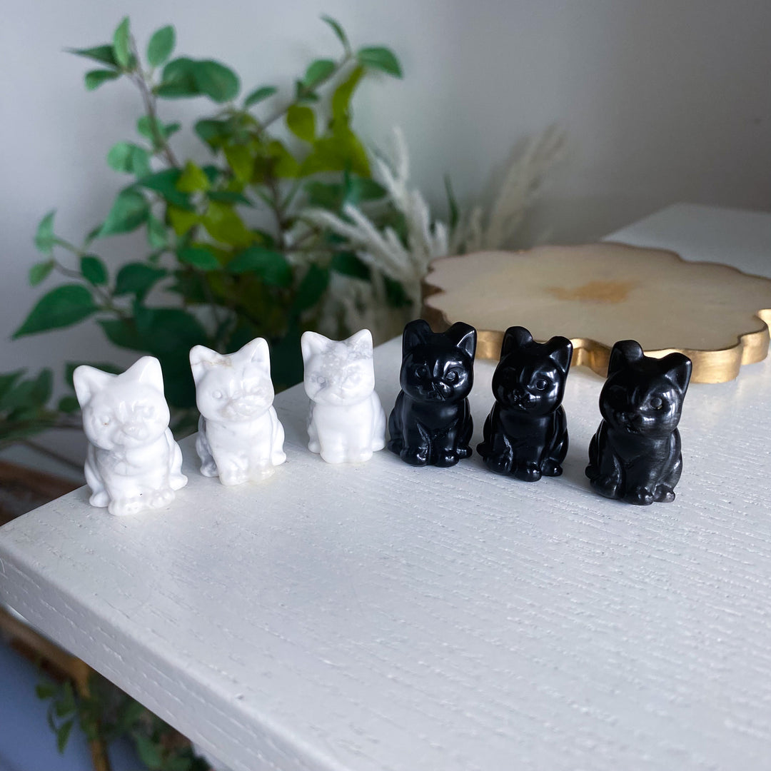Cat Carving in Howlite or Obsidian