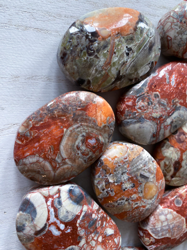 Money Agate Indonesian Bloodstone Palm Stone