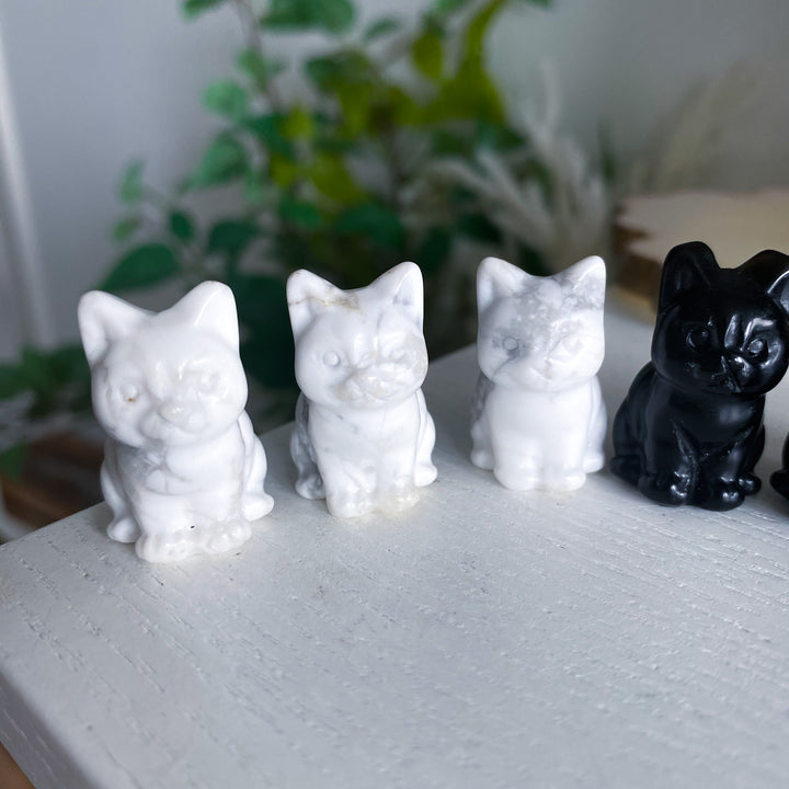 Cat Carving in Howlite or Obsidian