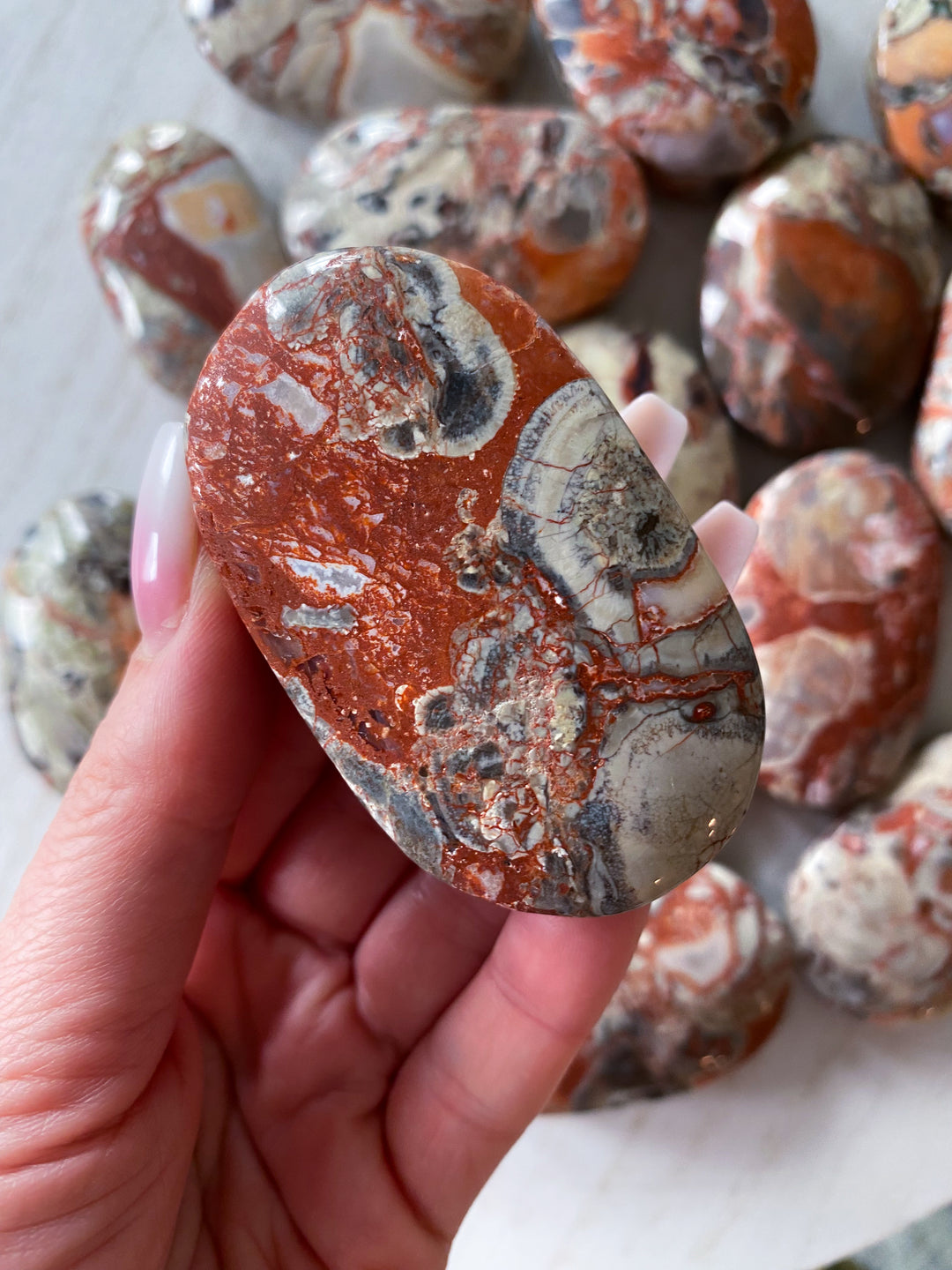Money Agate Indonesian Bloodstone Palm Stone