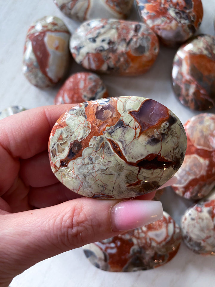Money Agate Indonesian Bloodstone Palm Stone