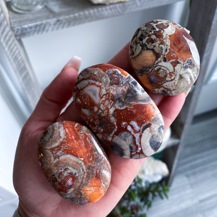 Money Agate Indonesian Bloodstone Palm Stone