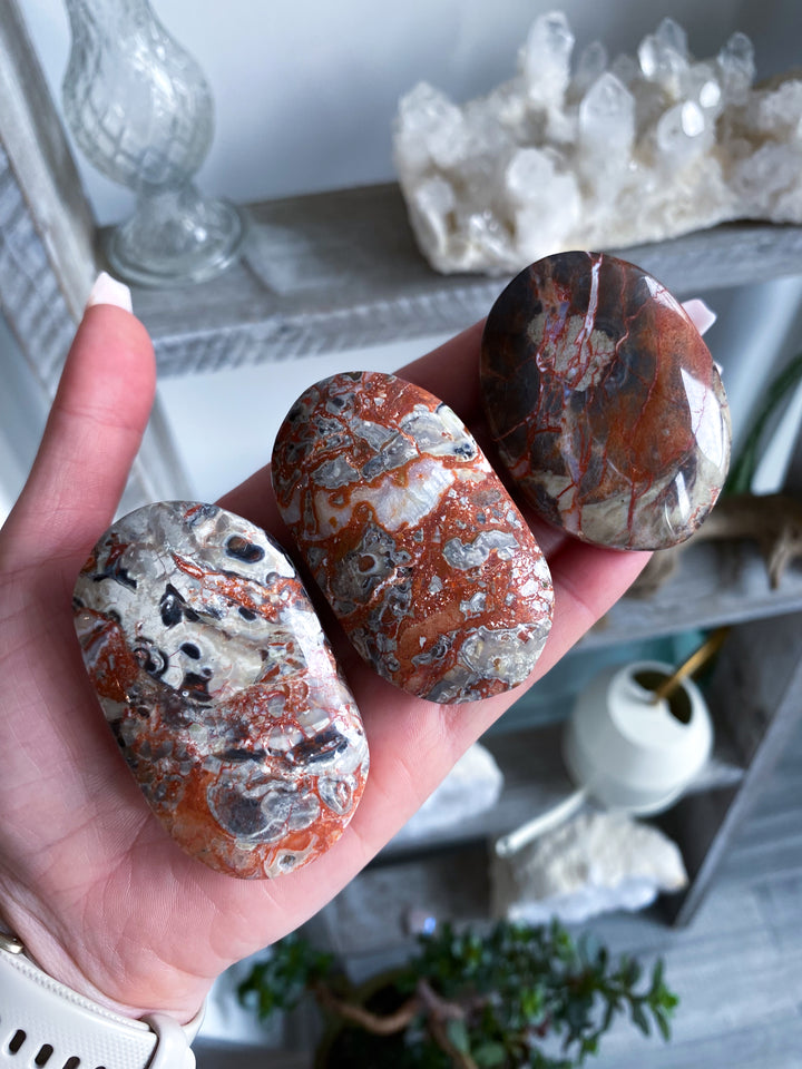 Money Agate Indonesian Bloodstone Palm Stone