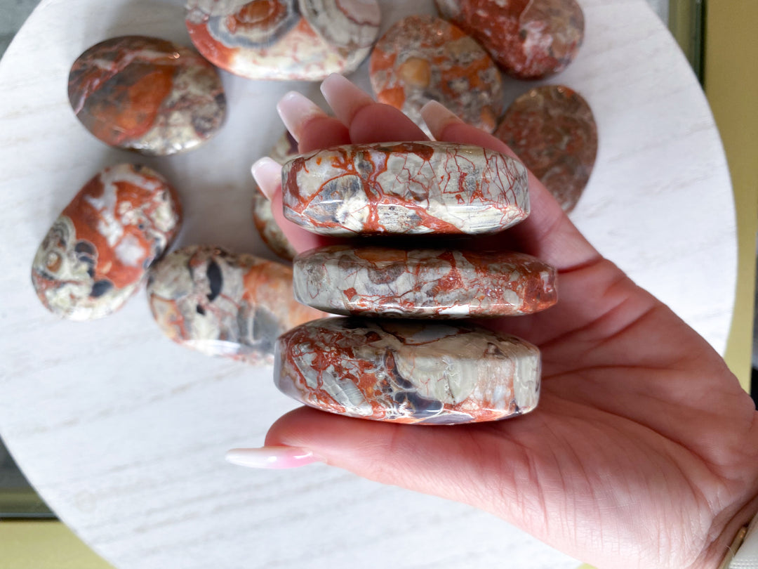 Money Agate Indonesian Bloodstone Palm Stone