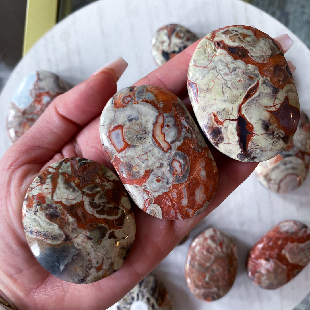 Money Agate Indonesian Bloodstone Palm Stone