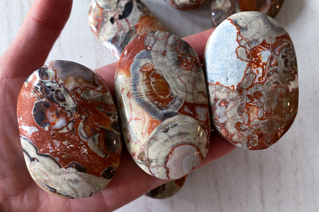 Money Agate Indonesian Bloodstone Palm Stone