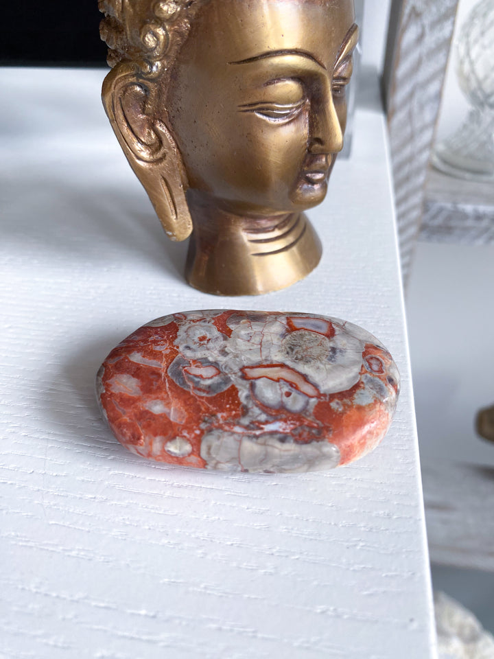 Money Agate Indonesian Bloodstone Palm Stone