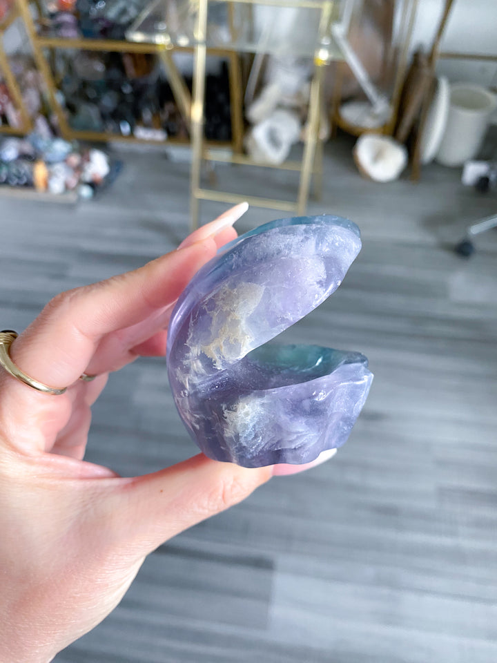 Rainbow Fluorite Clam Shell w/ Inclusion