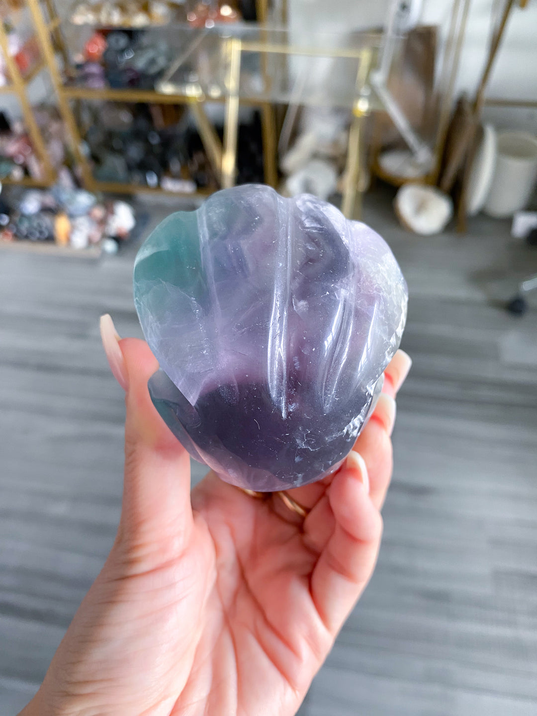 Rainbow Fluorite Clam Shell w/ Inclusion