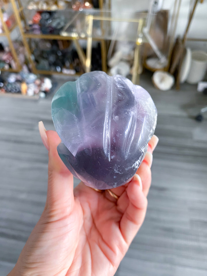 Rainbow Fluorite Clam Shell w/ Inclusion
