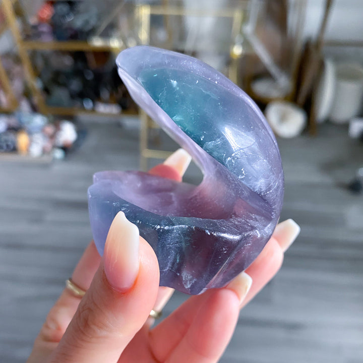 Feathered Rainbow Pastel Fluorite Shell Carving #2