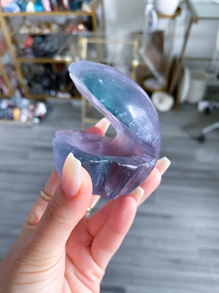 Rainbow Fluorite Clam Shell w/ Inclusion