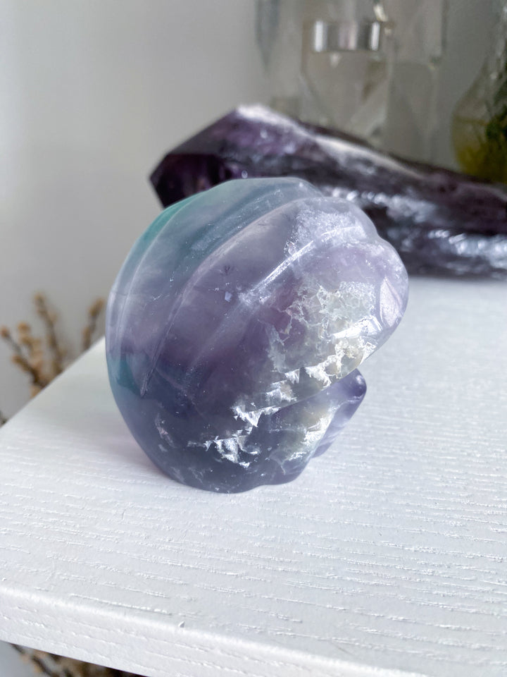 Rainbow Fluorite Clam Shell w/ Inclusion