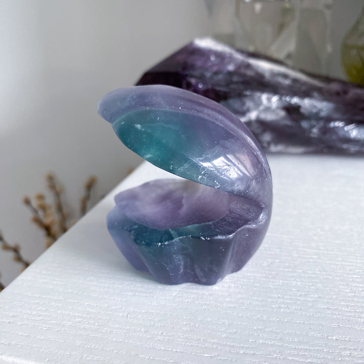 Rainbow Fluorite Clam Shell w/ Inclusion