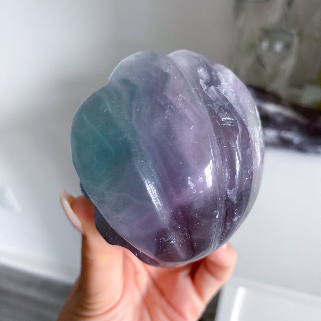 Feathered Rainbow Pastel Fluorite Shell Carving #2