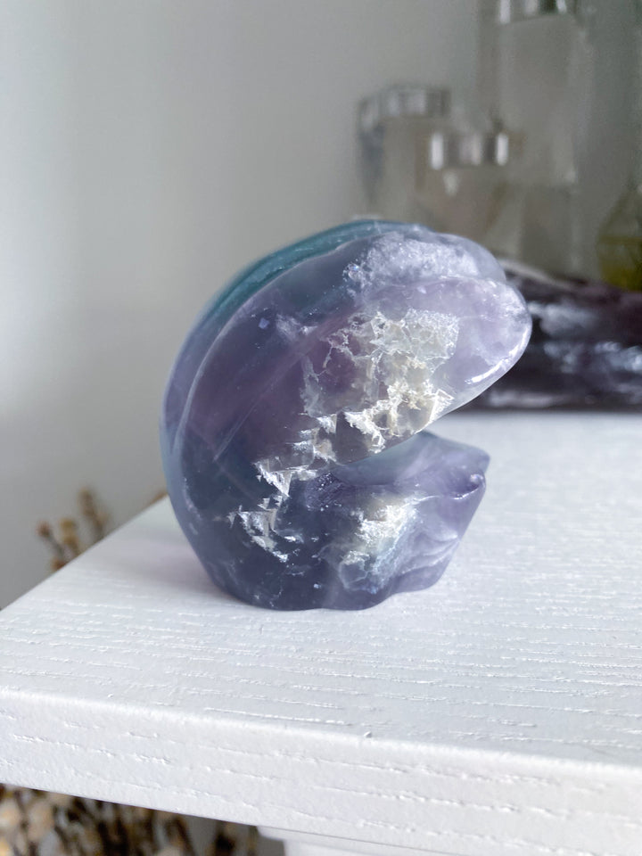 Rainbow Fluorite Clam Shell w/ Inclusion