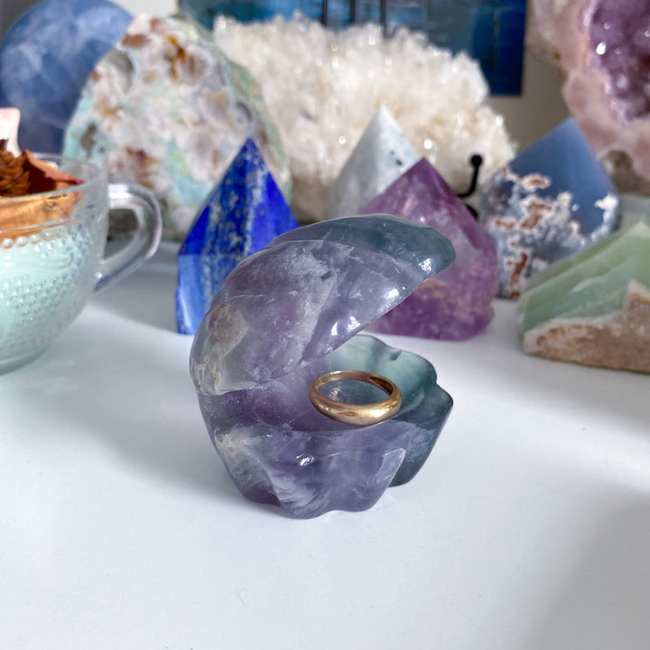 Feathered Rainbow Pastel Fluorite Shell Carving #2