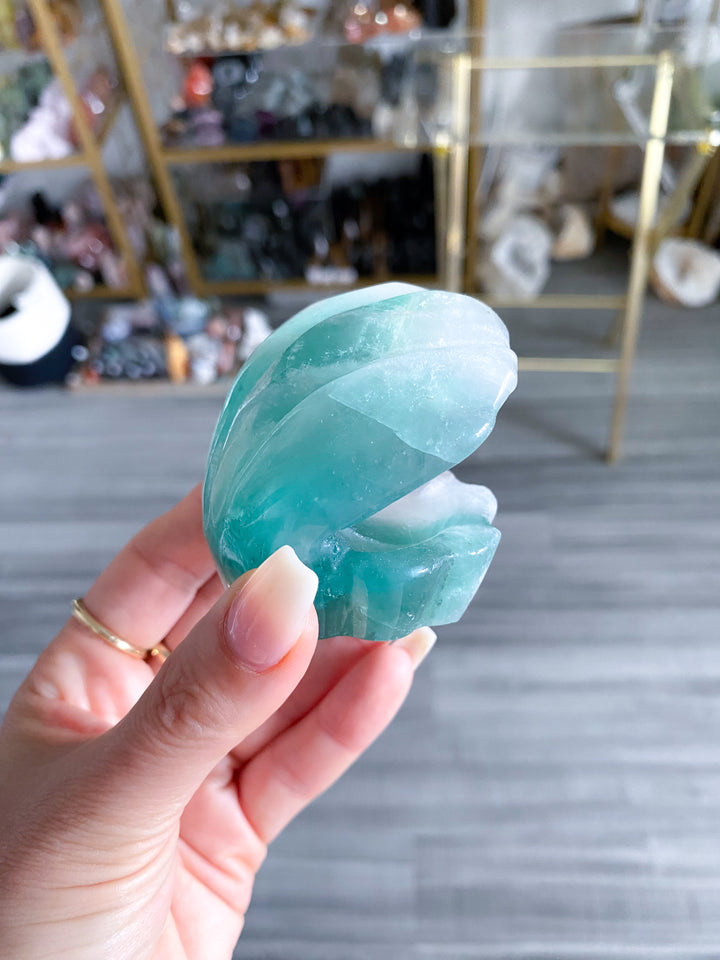 Green Fluorite Clam Shell