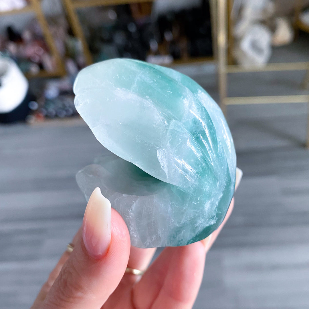 Green Fluorite Clam Shell